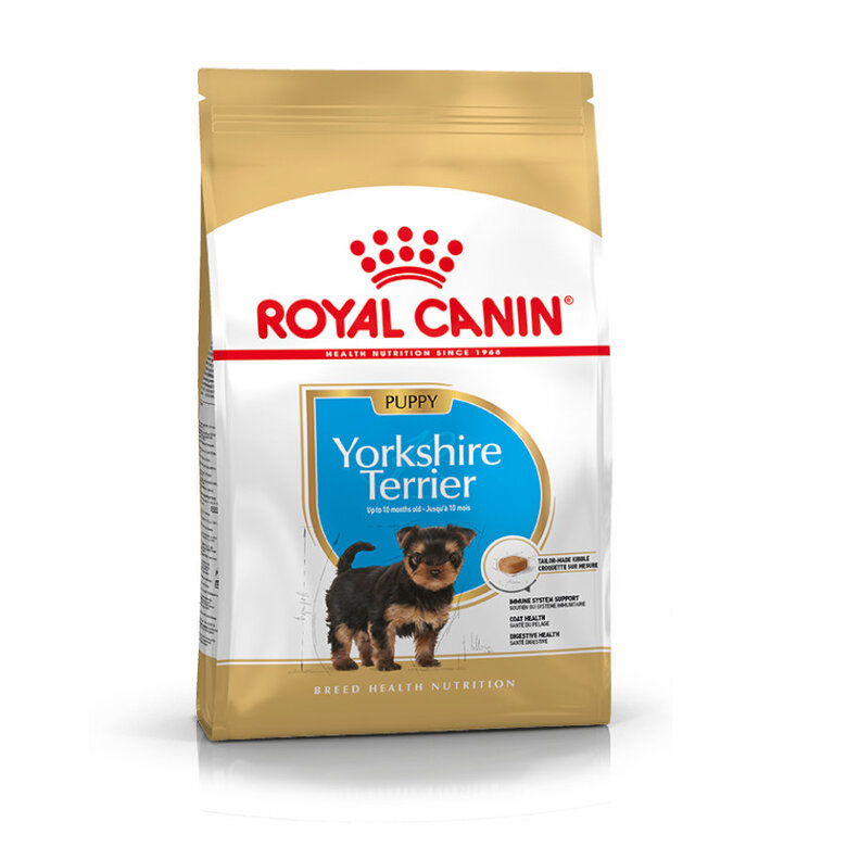 Royal Canin Puppy Yorkshire Terrier ração para cães  , , large image number null